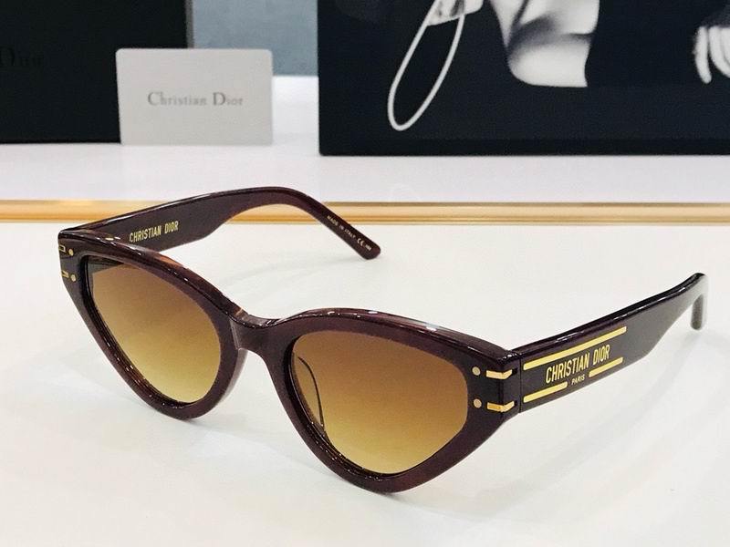 DIOR Sunglasses 434